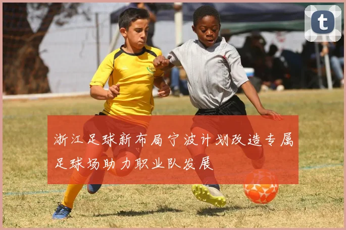 浙江足球新布局宁波计划改造专属足球场助力职业队发展