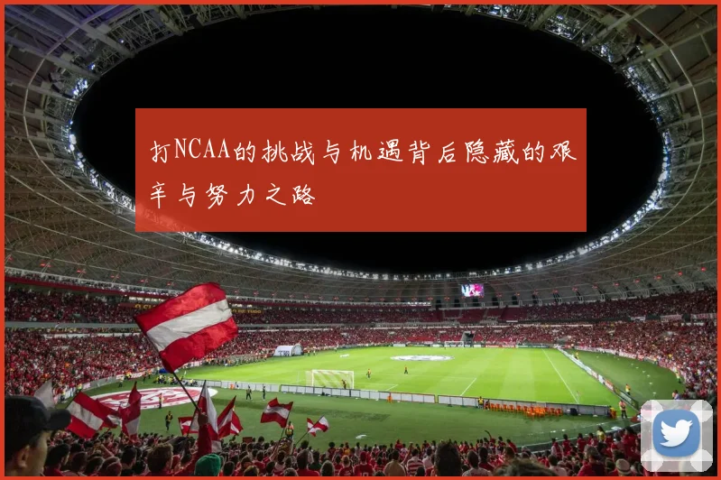 打NCAA的挑战与机遇背后隐藏的艰辛与努力之路