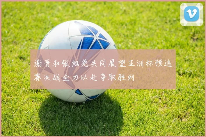 谢晋和张旭尧共同展望亚洲杯预选赛决战全力以赴争取胜利