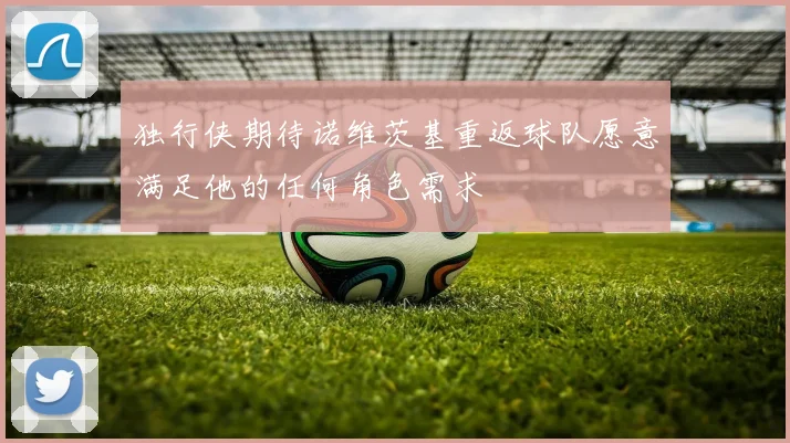 独行侠期待诺维茨基重返球队愿意满足他的任何角色需求