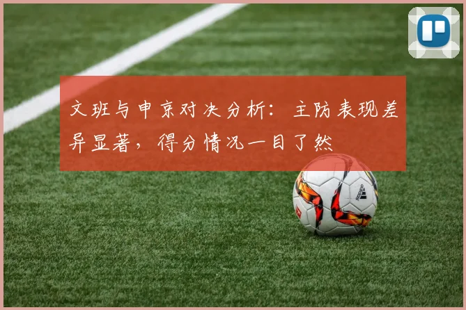 文班与申京对决分析：主防表现差异显著，得分情况一目了然