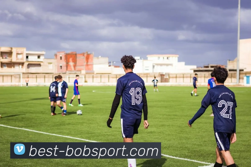 BOB体育平台生态图